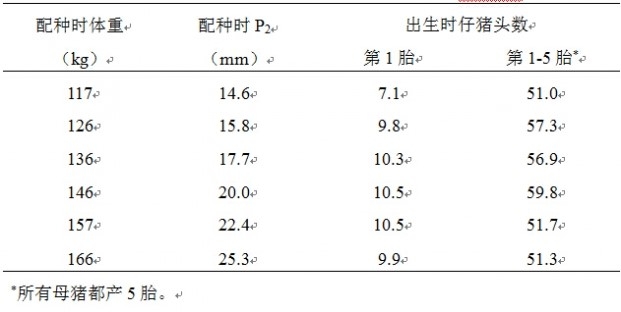 规模化猪场后备母猪存在的问题及对策